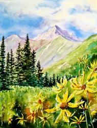Mountain Goldeneyes